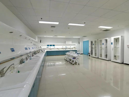 技術、服務、設備與環境 構建完善的綜合技術服務生態